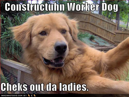 keep dogs away from construction work