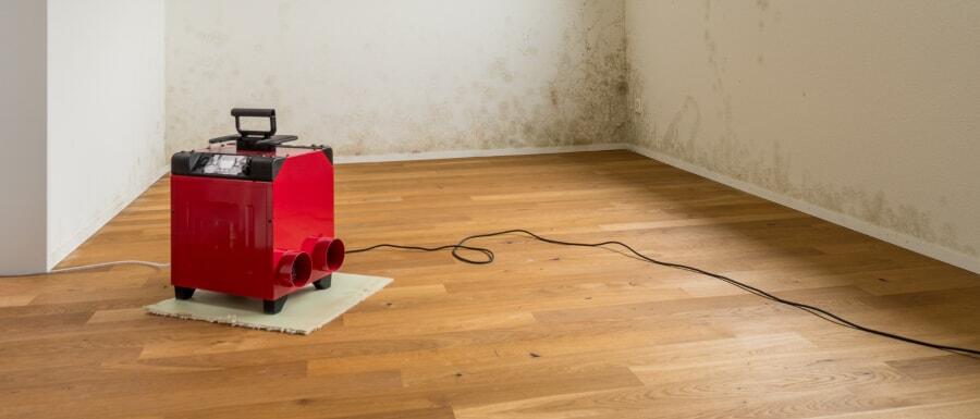 dehumidifier in a room with mold