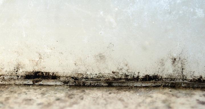 mold and damp on a house wall and floor