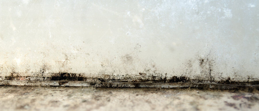 mold and damp on a house wall and floor