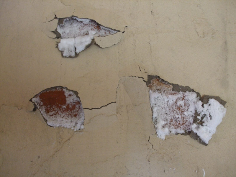mould on a wall with peeling paint