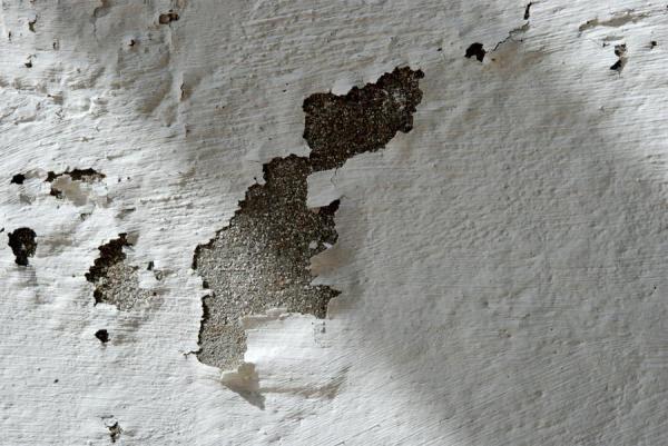 what are the reasons for wall dampness
